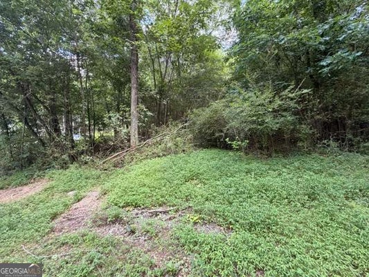 280 NIXON RD, SUMMERVILLE, GA 30747 - Image 768fdd13583216946efa71a4e9c3a092/1724270640