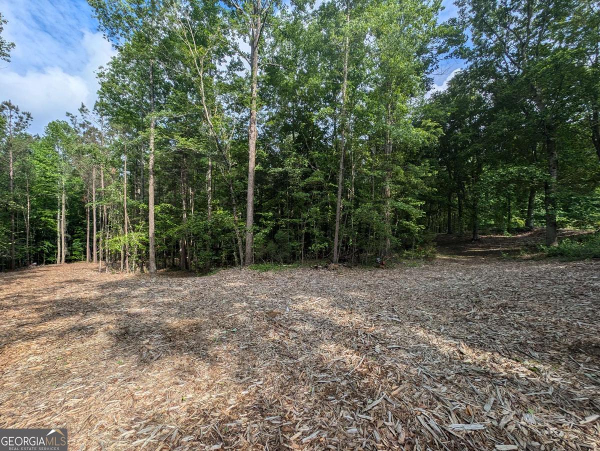 Ready to build TODAY! Gorgeous, 2.022 acre, private lot is ready for your dream home! Lot has a septic permit in place for a 5 bedroom home. The water meter is installed. Lot grading plan approved and in place. Survey and site plans in place. Driveway permit and temporary power (not permanent power) in place. An approved house plan is in place and available for purchase - the approved plan features owner's suite on the main, approximately 3600 SF, 5 bedrooms - or bring your own plan. This lot is owned by a terrific, local builder who can start the construction immediately on your dream home and the plan of your choice, or buy the lot and bring your own builder! This lot has plenty of level space, so home could be built on a slab or a basement - you choose! ALL the work has been done for you! This lot is truly ready to start construction now! NO HOA! Located in an enclave of homes in The Estates of Marvin Land. Award winning schools. Enjoy the feeling of being out in the country, away from the hustle bustle, but with all the conveniences brought to you by being in close proximity to Hickory Flat, Macedonia, and the Milton areas. Please note that the price includes the lot only. Pictures of house elevation and floor plan are for current, approved plan, but this can be changed.