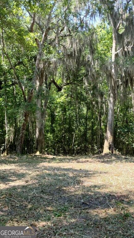 Private, peaceful homesite awaits you. As quiet as you'll find the property, you're only a few miles from Eulonia and just about 4 miles to Belleville public boat ramp. Neighbors near the property use Branch's propane for propane gas. Ga Power will be electric provider. Other lots for sale by the same owner and in the very near vicinity include: 18, 15, 16, 22, 27, 28, 29 & 30 on Briar Patch. See map in documents to locate.