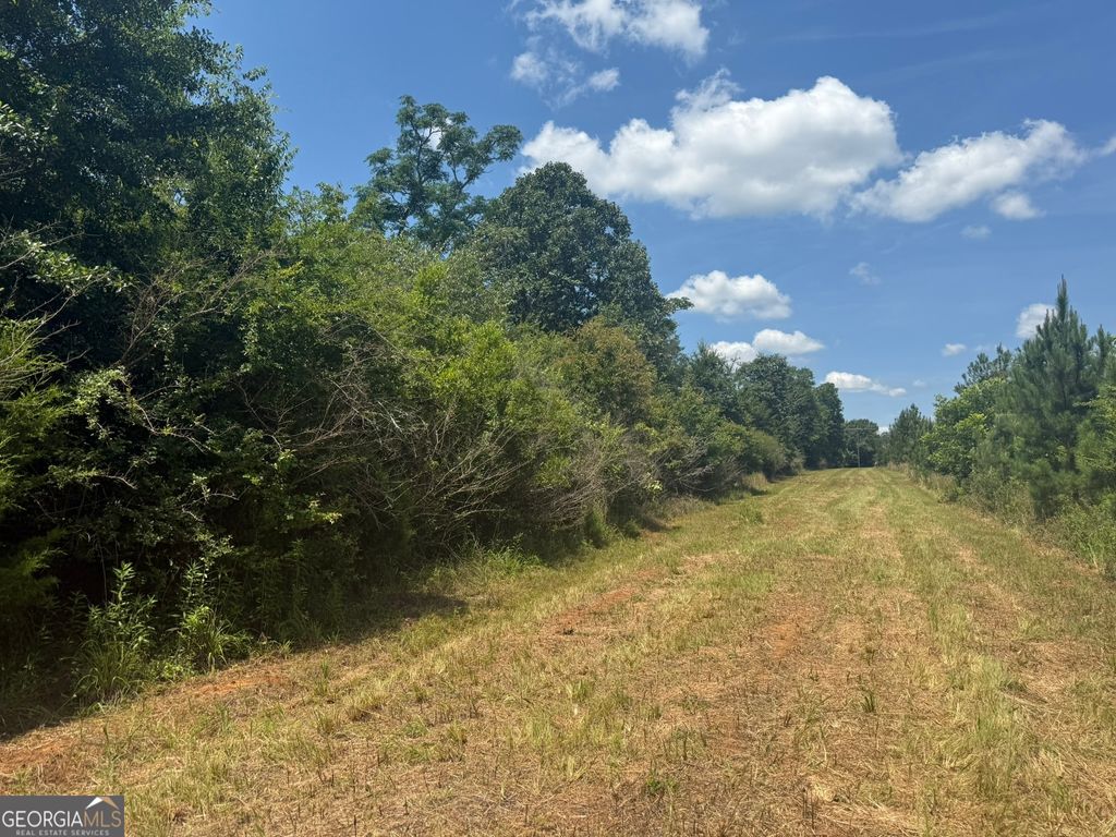 Photo of 4 Fountain Bridge Rd, Cuthbert, GA 39840 (MLS # 10784623)