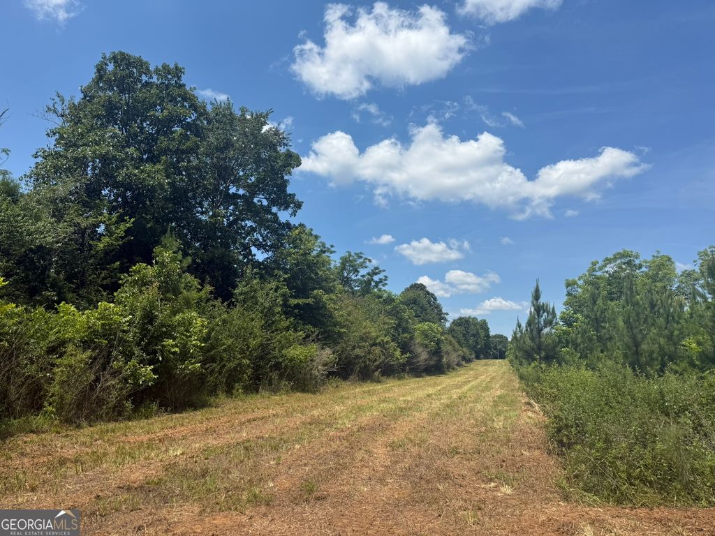 Photo of 4 Fountain Bridge Rd, Cuthbert, GA 39840 (MLS # 10784623)