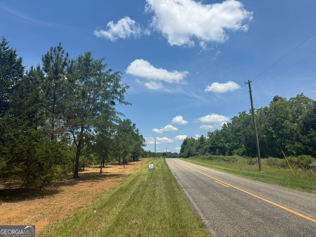 Photo of 4 Fountain Bridge Rd, Cuthbert, GA 39840 (MLS # 10784623)