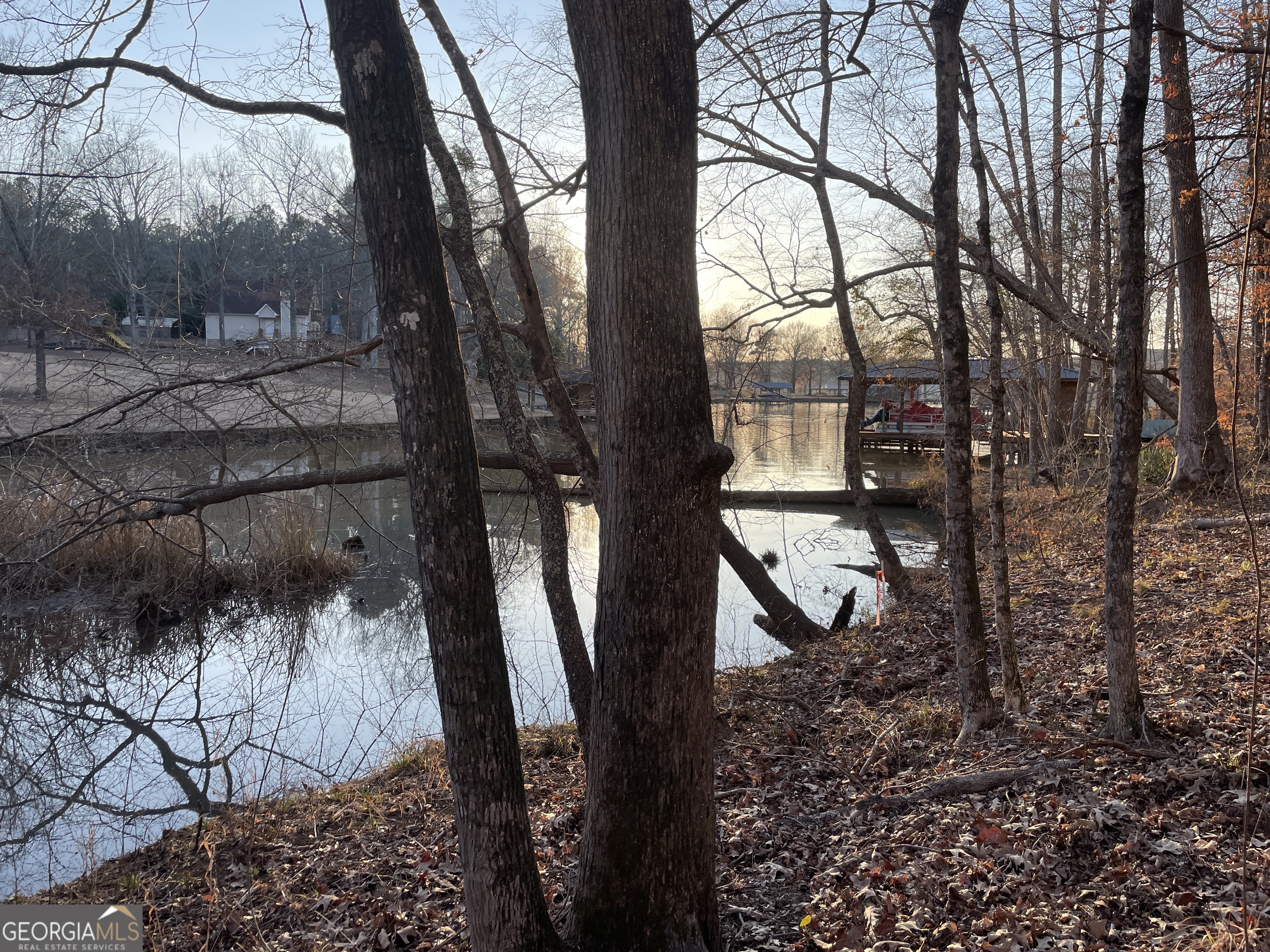 Great View from the property * Lake front on the cove * Call Joe Cox with any questions * 770-574-1111