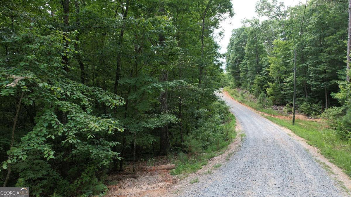 Discover Sustainable Mountain Living in Mountaintown Heights! Welcome to your opportunity to build in Mountaintown Heights, an eco-conscious community nestled in the beautiful North Georgia mountains. Mountaintown Heights offers access to Lake LeCroy. There is no limit on size of home, it just has to be built in accordance with Gilmer County requirements. This 1.24-acre lot offers access to both water and electricity, and is located within a thoughtfully designed 242-acre rural development dedicated to environmental stewardship, sustainable practices, and a strong sense of community. Mountaintown Heights embraces eco-friendly living with features like organic community gardens, permaculture, erosion control, native plant landscaping, and natural resource conservation. Whether you dream of a weekend retreat or a full-time homestead, this property offers a peaceful setting surrounded by like-minded residents who value sustainability, wellness, and nature. Located just minutes from downtown Ellijay, you'll enjoy the charm of this mountain town known for its apple orchards, local wineries, and vibrant festivals. Outdoor enthusiasts will love nearby Carters Lake, perfect for boating and fishing, and scenic Blue Ridge is only a short drive away, offering hiking, waterfalls, dining, and boutique shopping. This is more than just land-it's a lifestyle. Come experience mindful living in the heart of the North Georgia mountains.