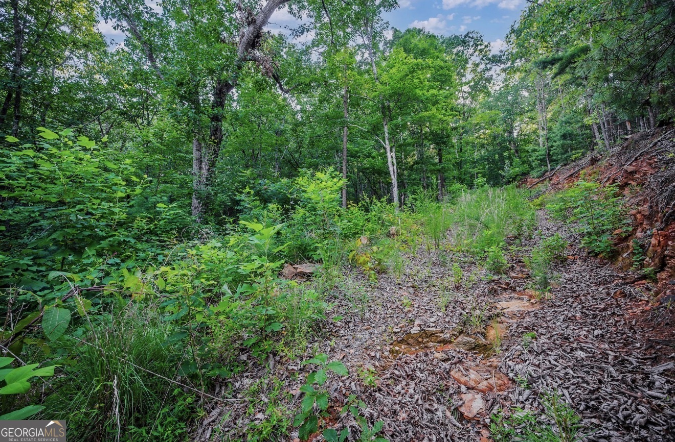 LT 760 Morton DR