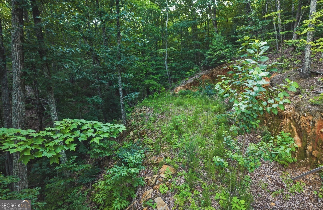 LT 760 Morton DR