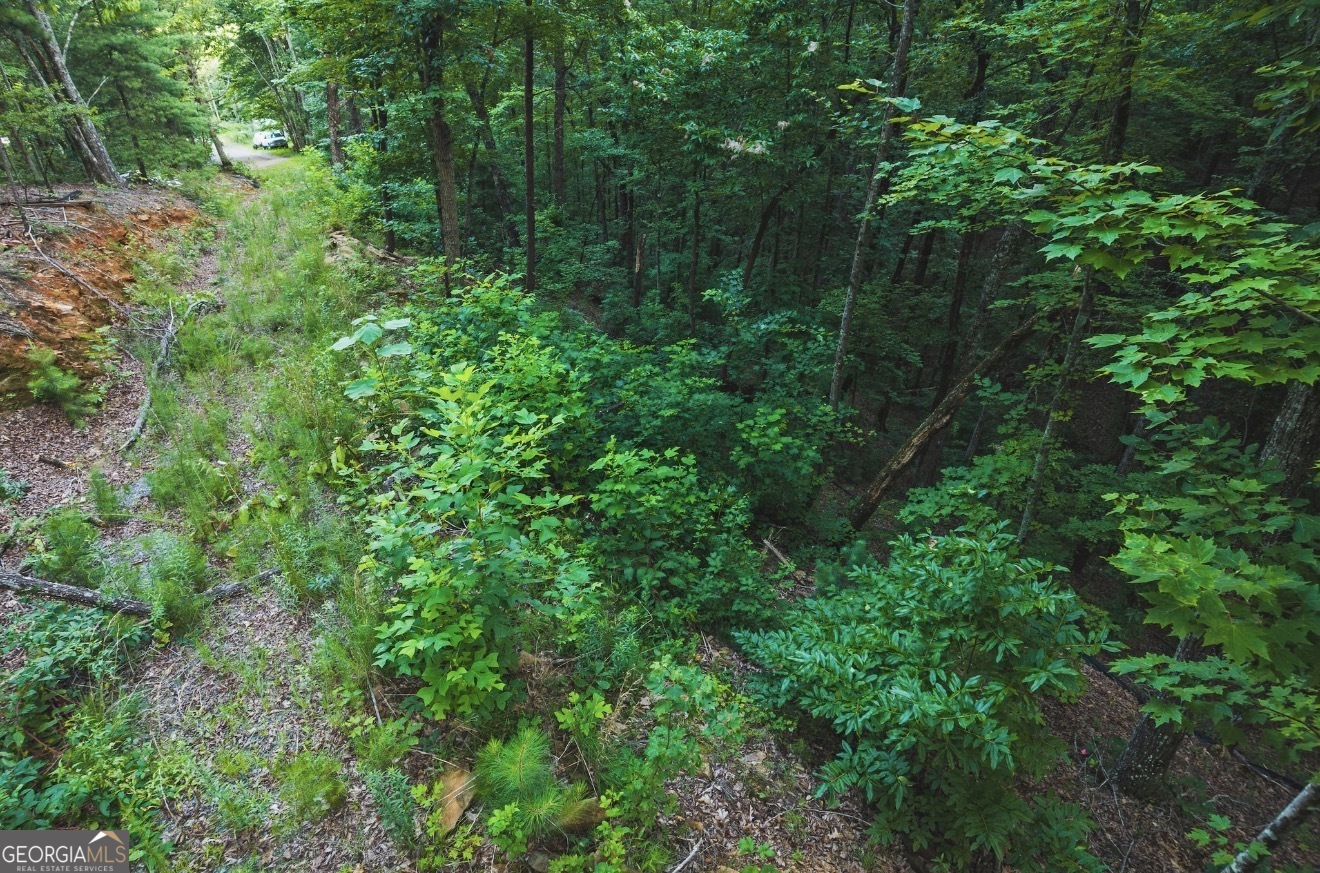 LT 760 Morton DR