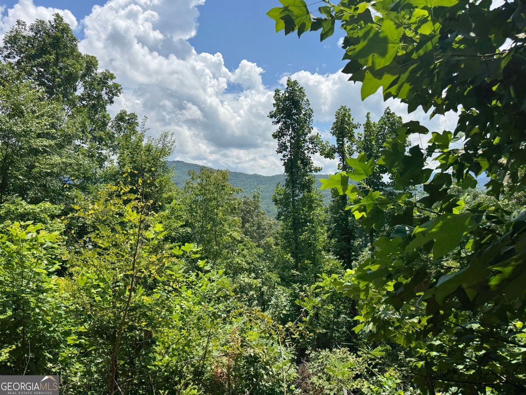 Photo of 27 Ivy Lane, Hiawassee, GA 30546 (MLS # 10822522)