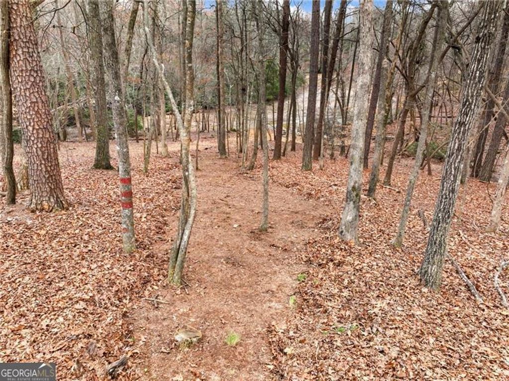 Photo of 6650 Lake Run Drive, Flowery Branch, GA 30542 (MLS # 10704146)