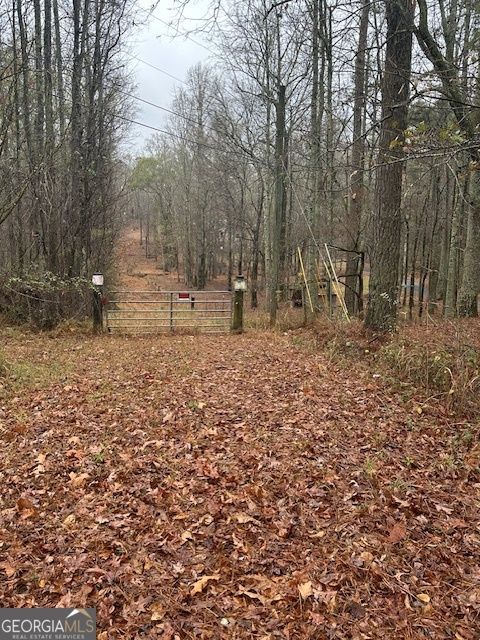 Photo of 0 Winding Stream Trail, Hampton, GA 30228 (MLS # 10654606)
