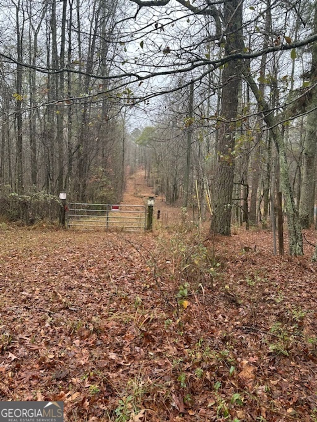 Photo of 0 Winding Stream Trail, Hampton, GA 30228 (MLS # 10654606)