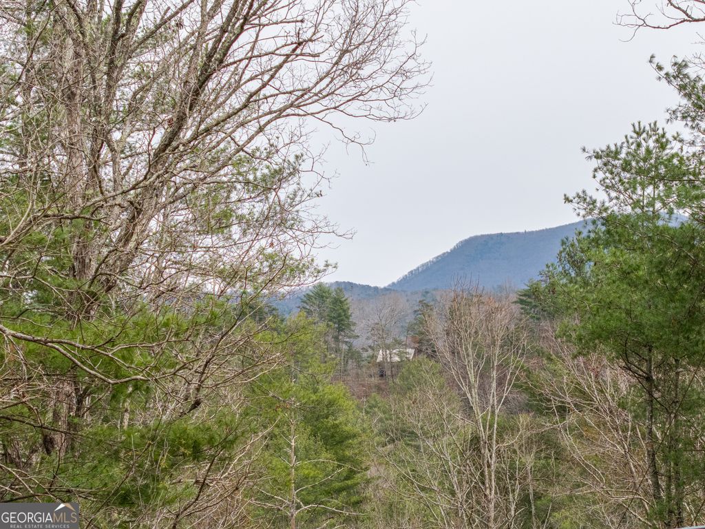 Photo of 155 Doe Run, Ellijay, GA 30540 (MLS # 10716275)