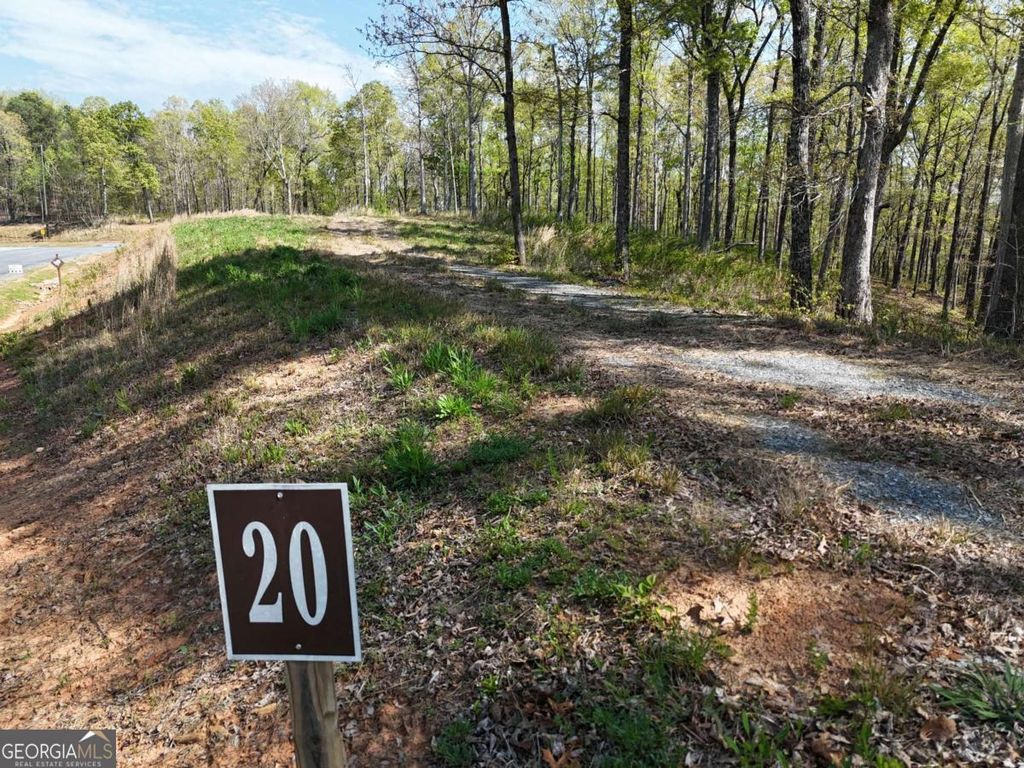Photo of 20 Blalock Mountain Road, Ellijay, GA 30540 (MLS # 10755616)