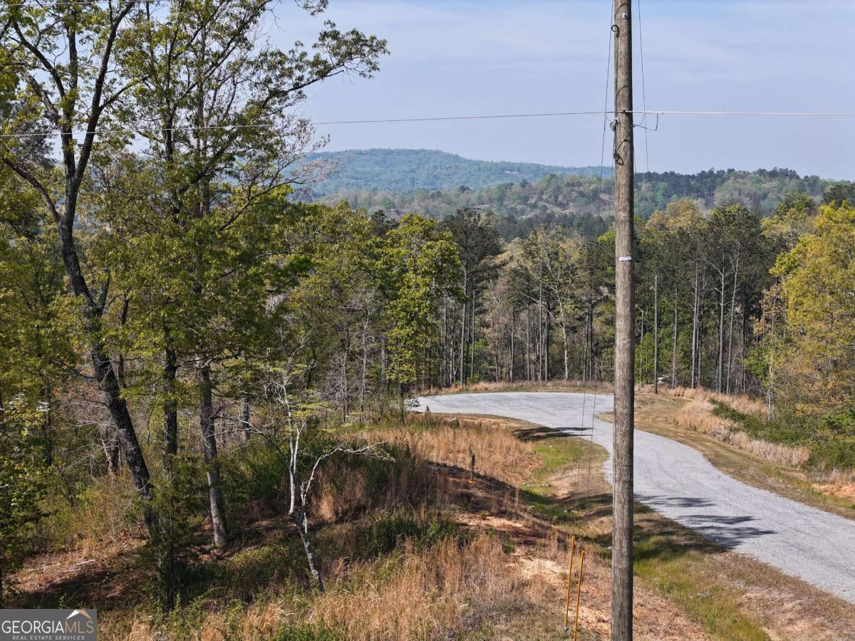 LT 20 Blalock Mountain RD