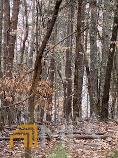 Build your dream home on this beautiful 1.4 acre lot overlooking Lake Russell. Mostly wooded lot with driveway already in place. Savannah Bluffs Subdivision offers boat storage so you can launch your boat at nearby Sanders Ferry. Enjoy Richard Russell State Park just 4 miles away. Community water available. Get your plans ready and call today for all the details!