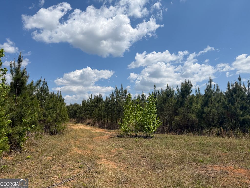 Photo of 67 George Milling Rd, Cuthbert, GA 39840 (MLS # 10754750)