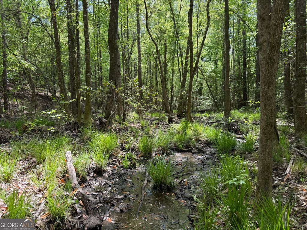 Photo of 67 George Milling Rd, Cuthbert, GA 39840 (MLS # 10754750)