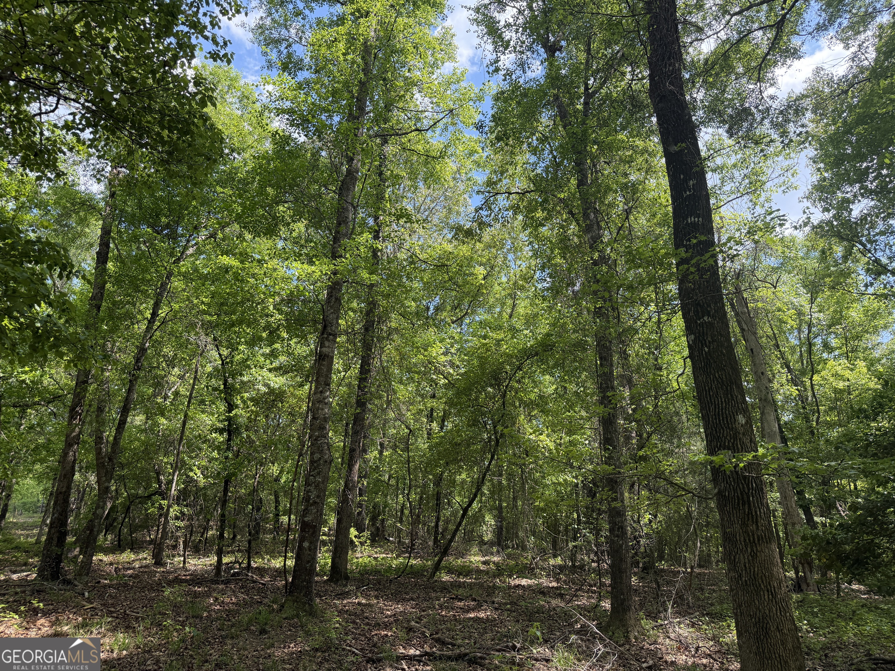 067 George Milling Rd