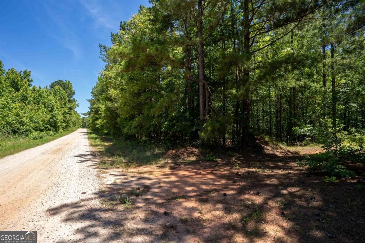 LOT 36 Marshall RD