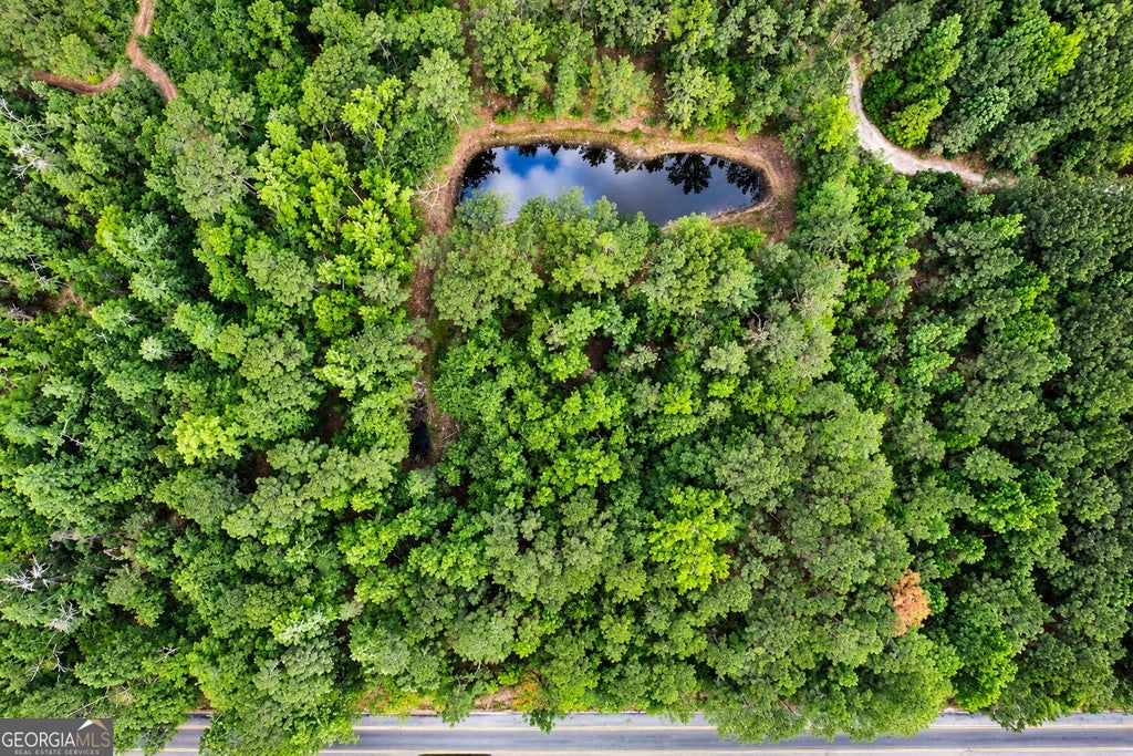 Photo of 15 Mt Pleasant Road, Clyo, GA 31303 (MLS # 10841467)