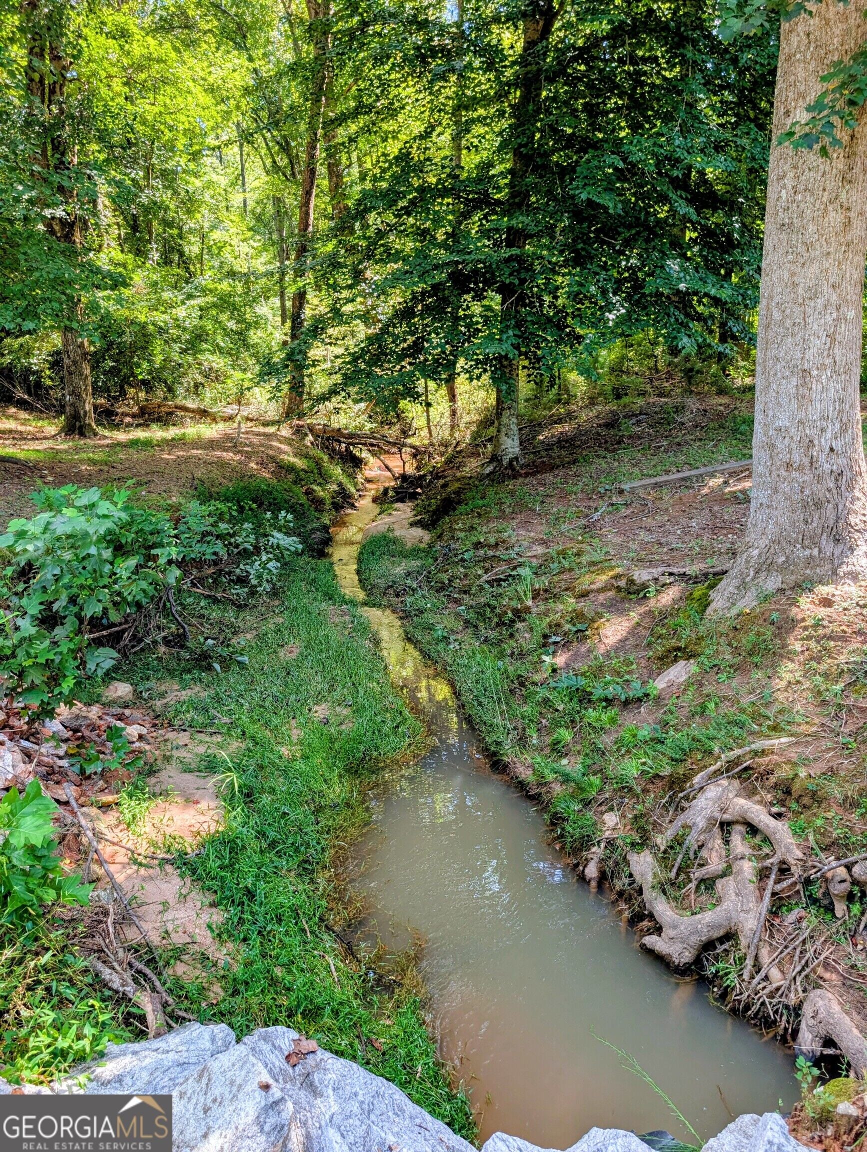 104 Waccamaw LN