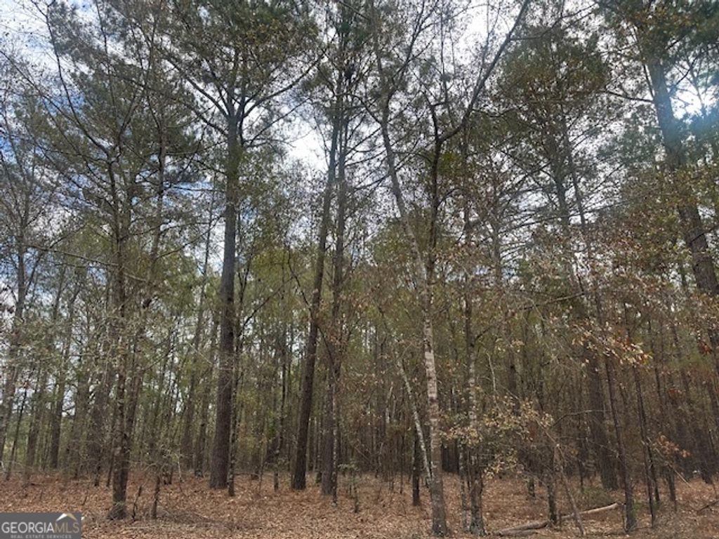 Photo of 00 Jusal Lane, Dublin, GA 31021 (MLS # 10661397)