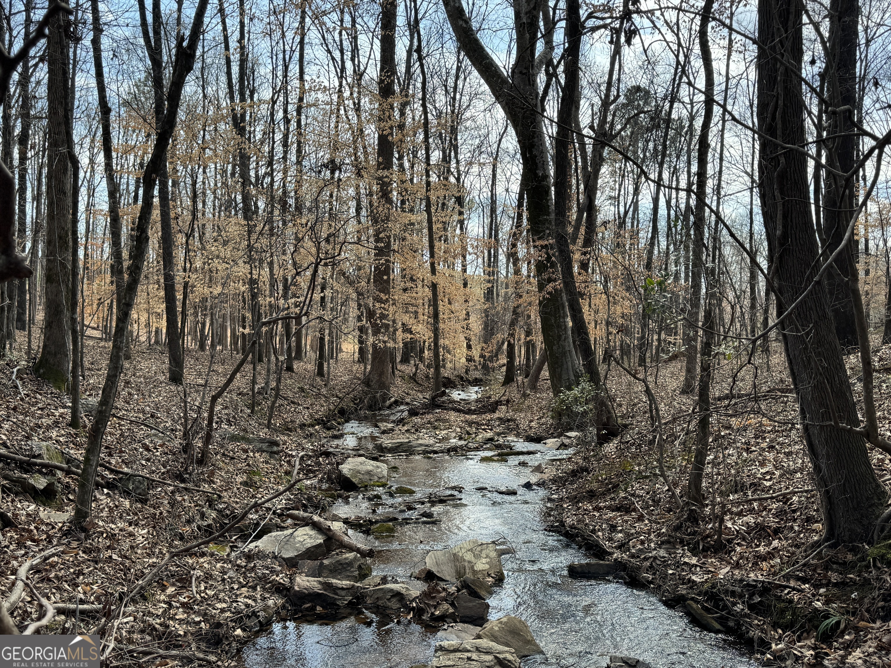 332.9 AC Johnson Mill RD