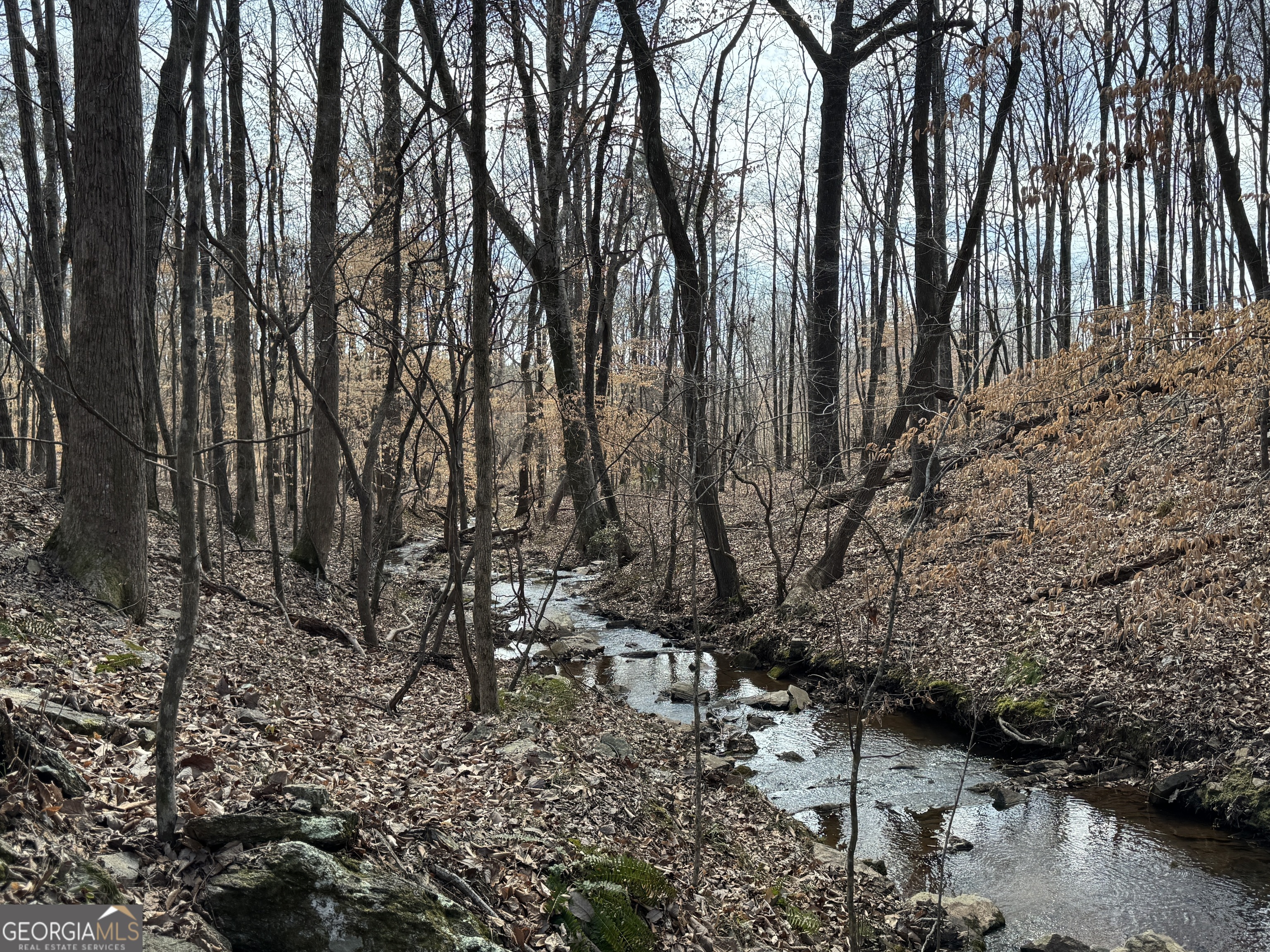 332.9 AC Johnson Mill RD