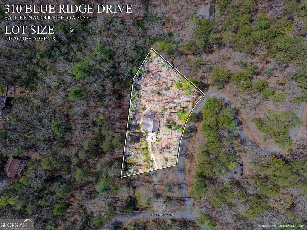 listing image 49