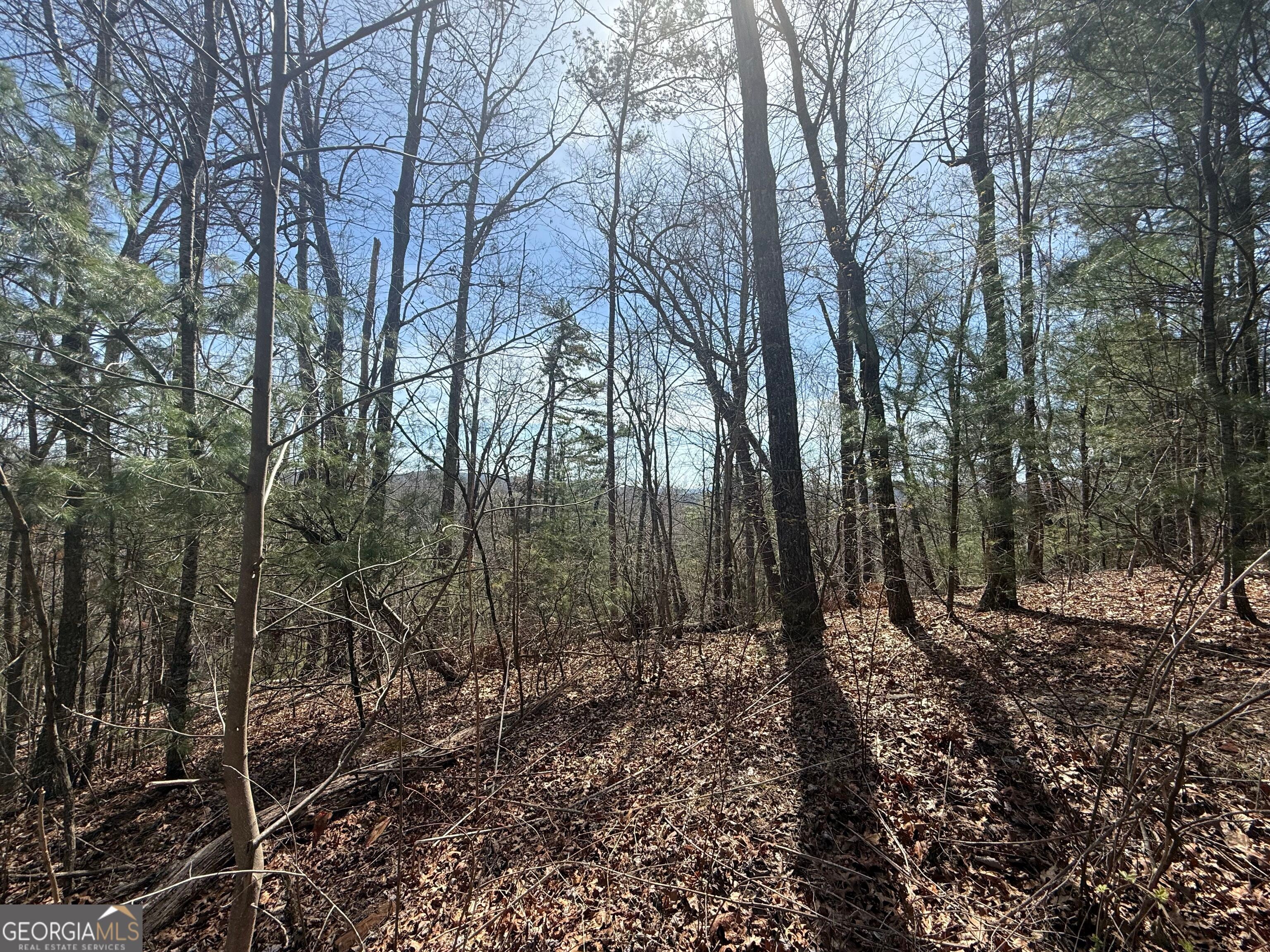 TRACT 3A Big View LN