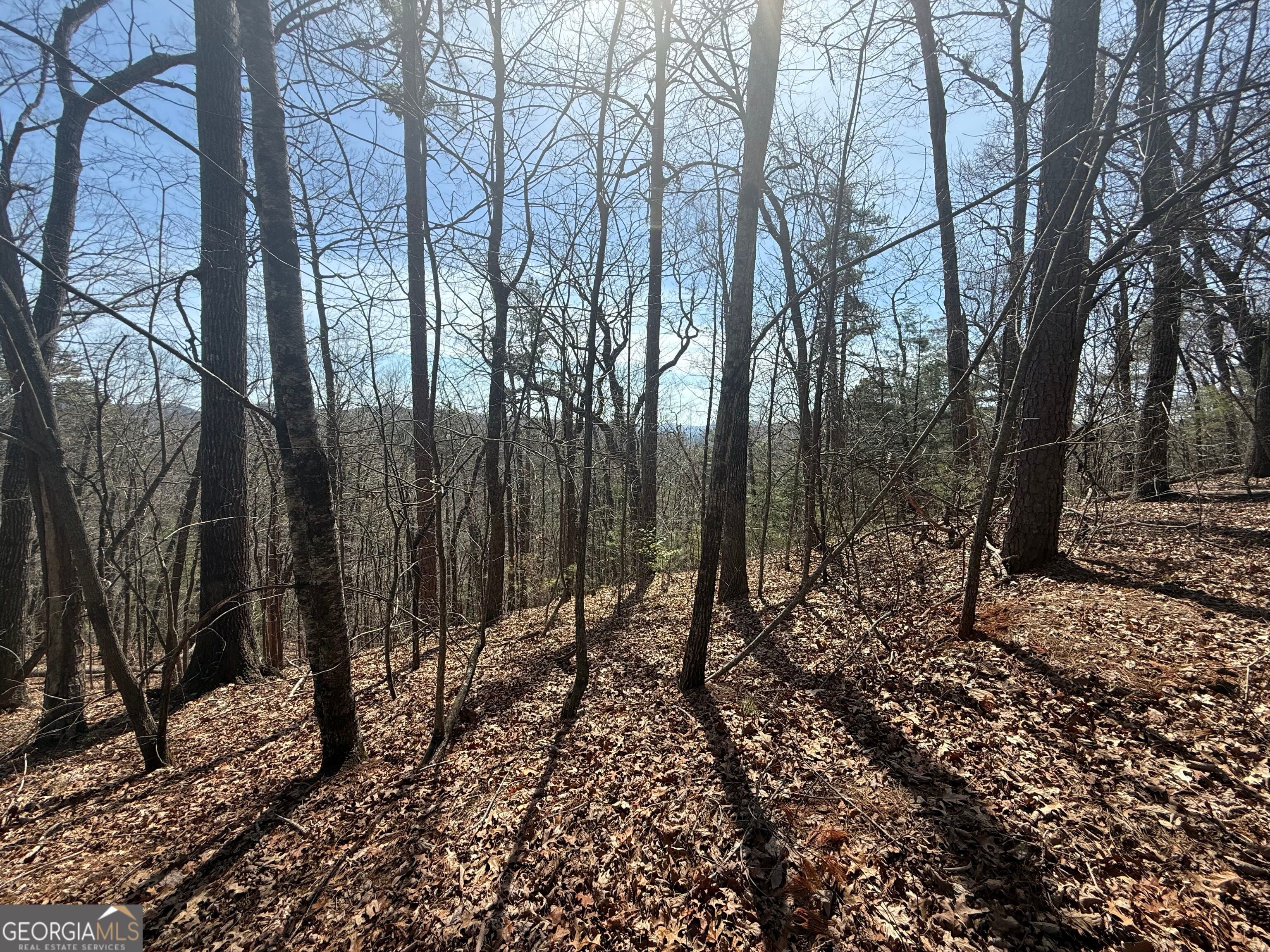 TRACT 3A Big View LN