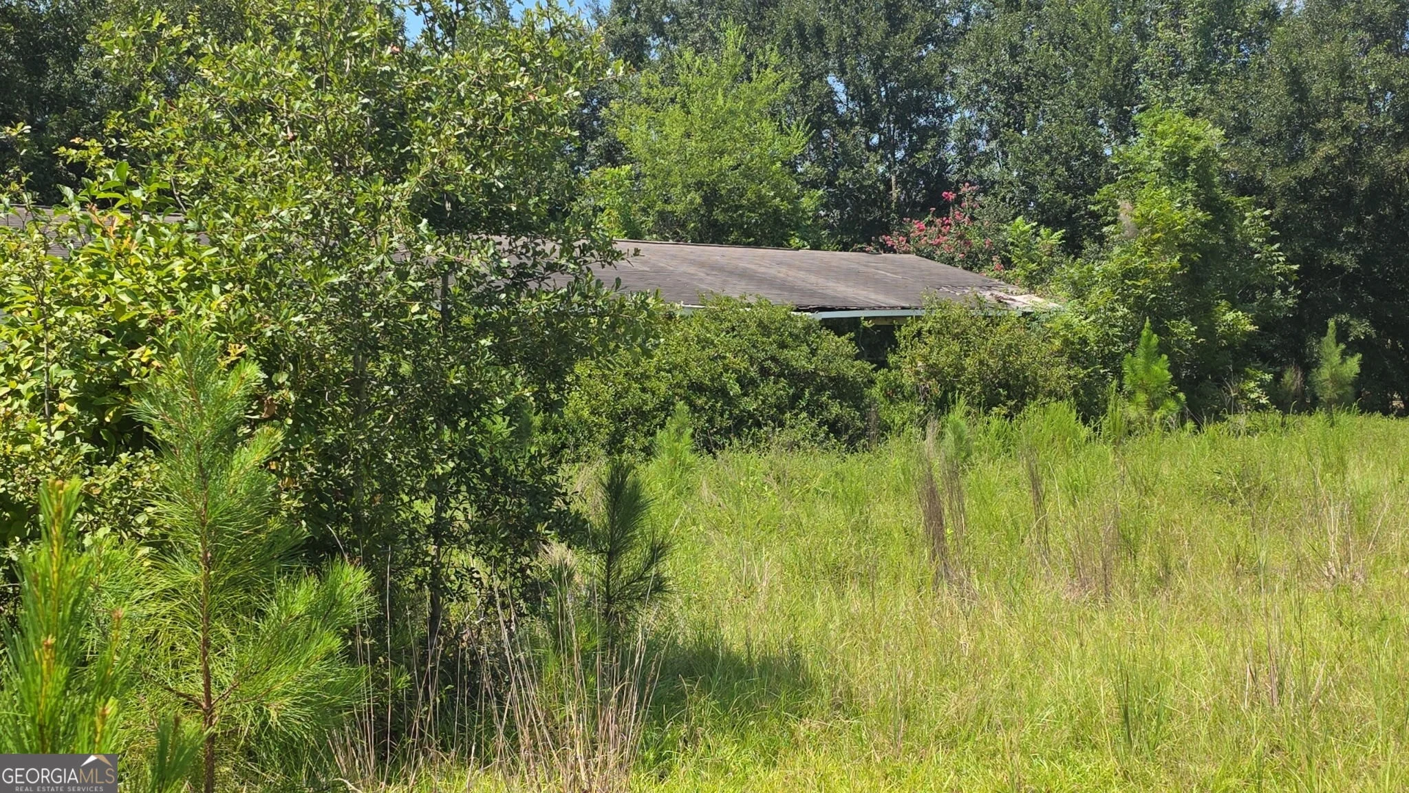 159 Grimsley Road, Colquitt, GA, 39837