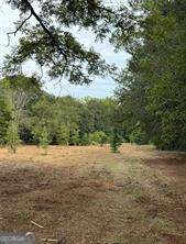 2088 Lower Union Hill Rd