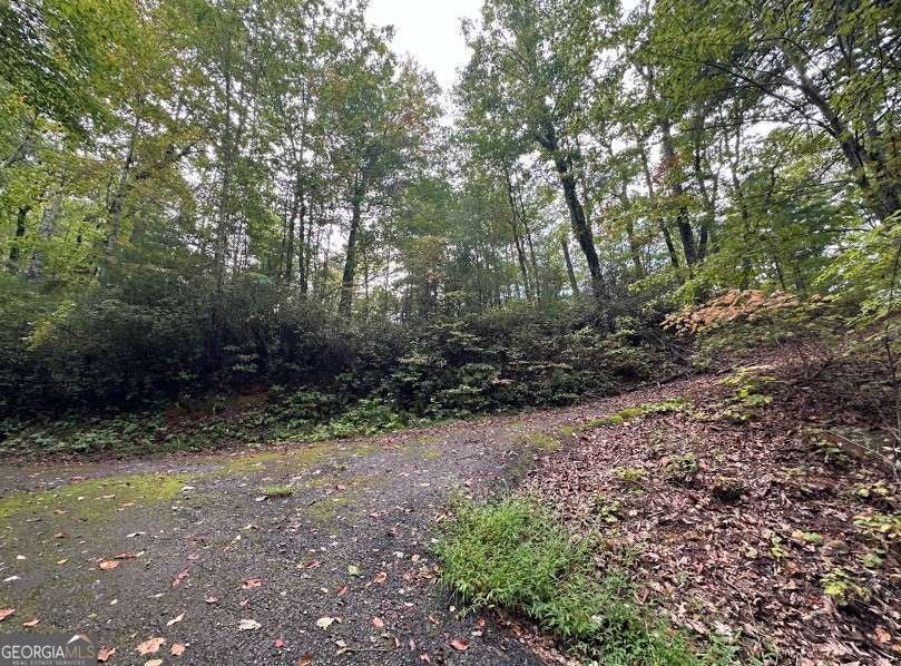 LOT 6 Sequoia Hills LN 6