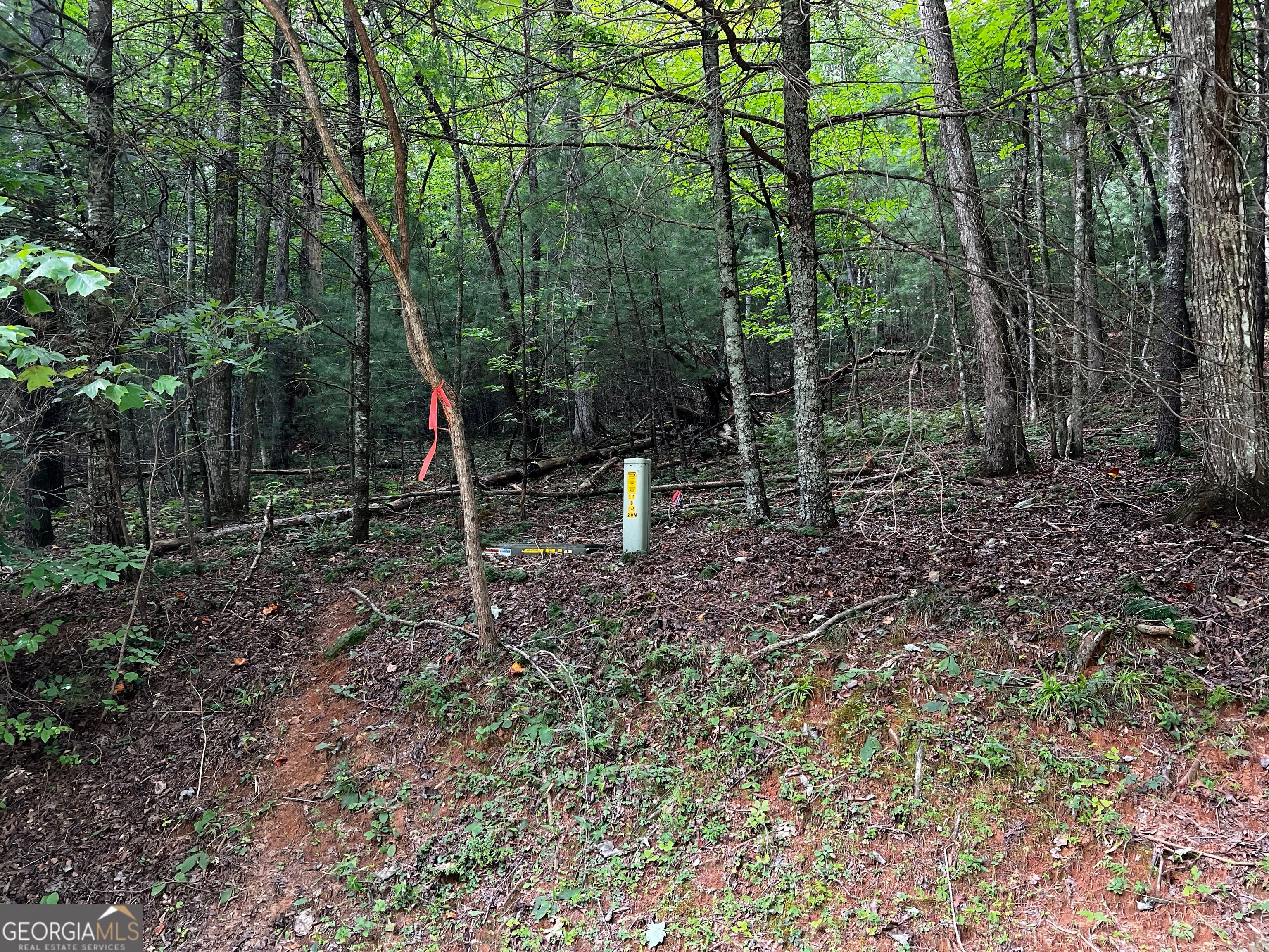 9 Dover Falls TRL