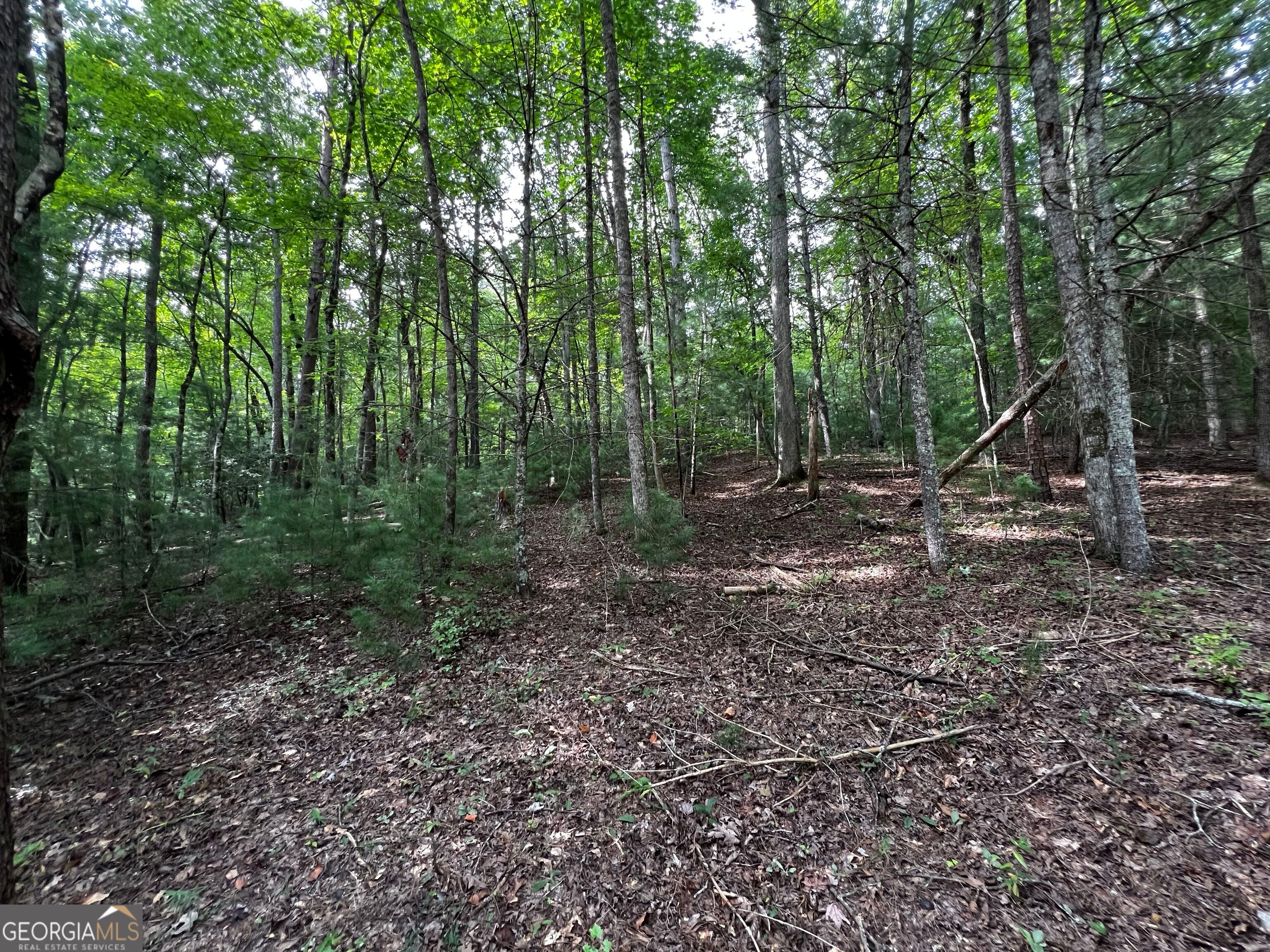 9 Dover Falls TRL