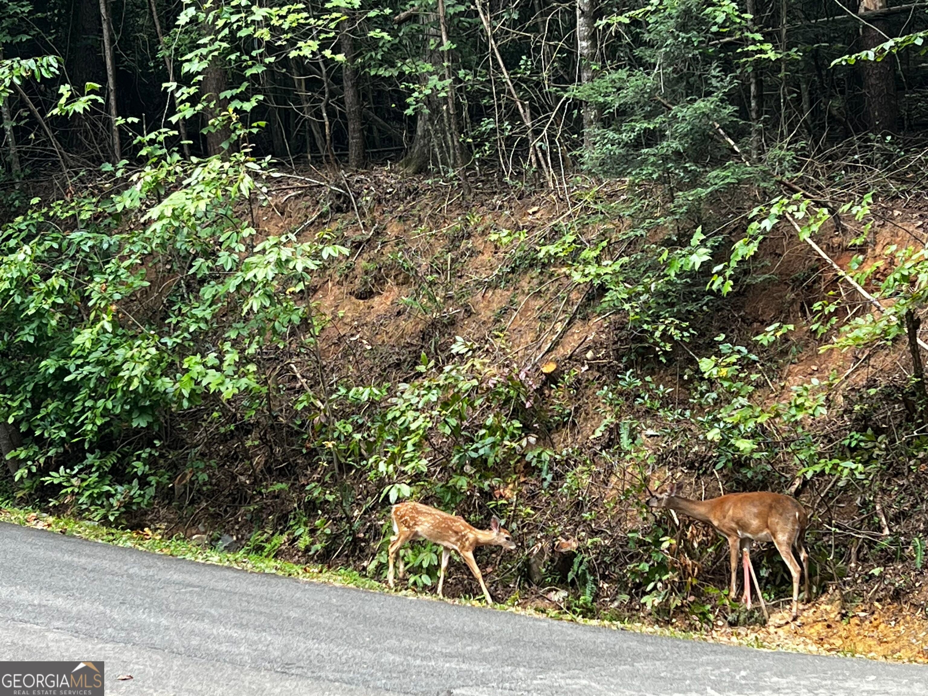 9 Dover Falls TRL
