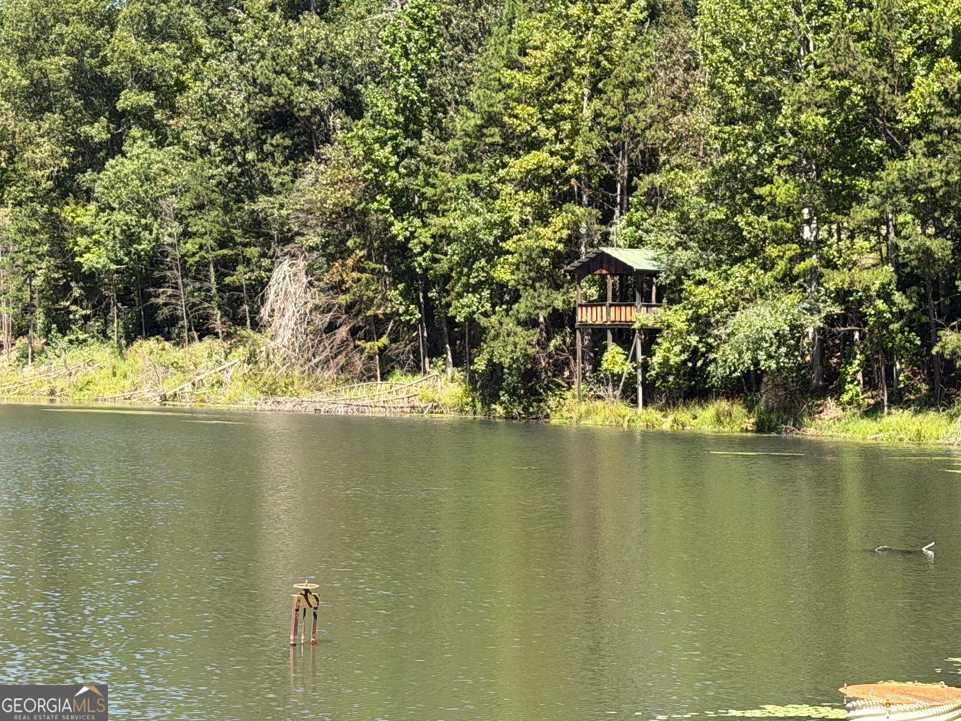 263 Cole Lake DR