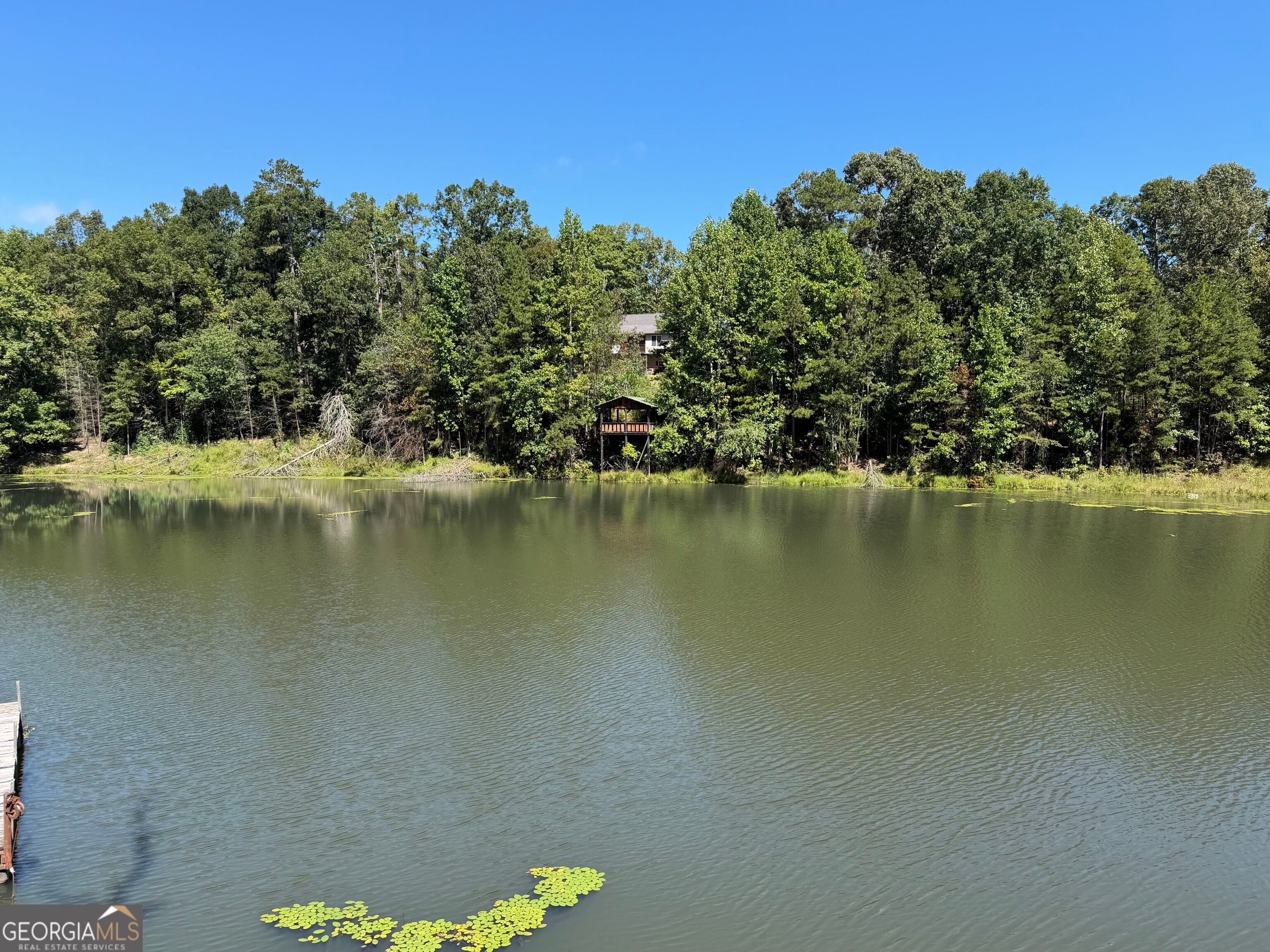 263 Cole Lake DR