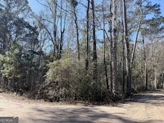 Photo of 138140 Dogwood Lane, Midway, GA 31320 (MLS # 10848764)