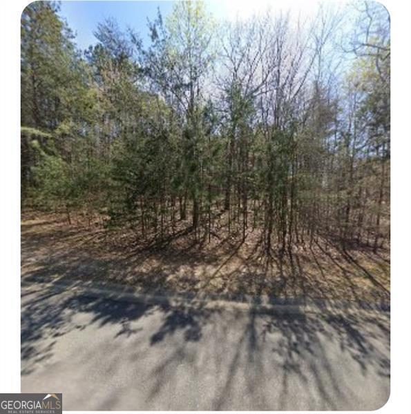 Welcome to Little Bear, a serene and secluded community nestled in the picturesque foothills of Canton, Georgia. Vacant Lot and great opportunity to build your perfect dream home with the builder of your choice. Property has all utilities except public sewer. Soil Tests and Final Plat available.