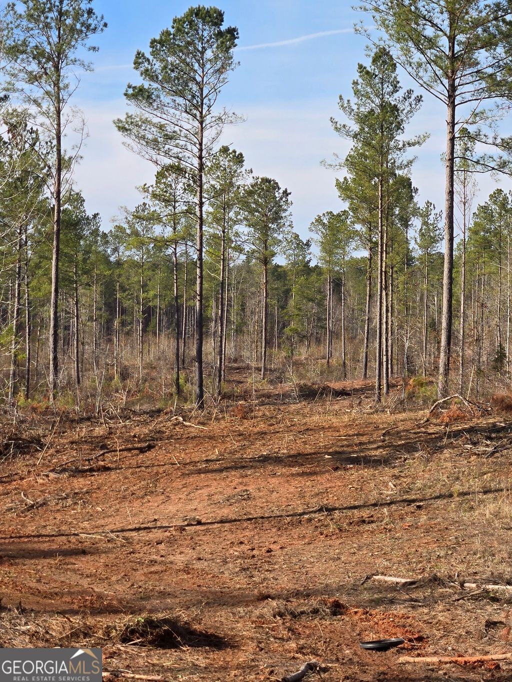 Photo of 00 Martin Mill Road, Eatonton, GA 31024 (MLS # 10671986)