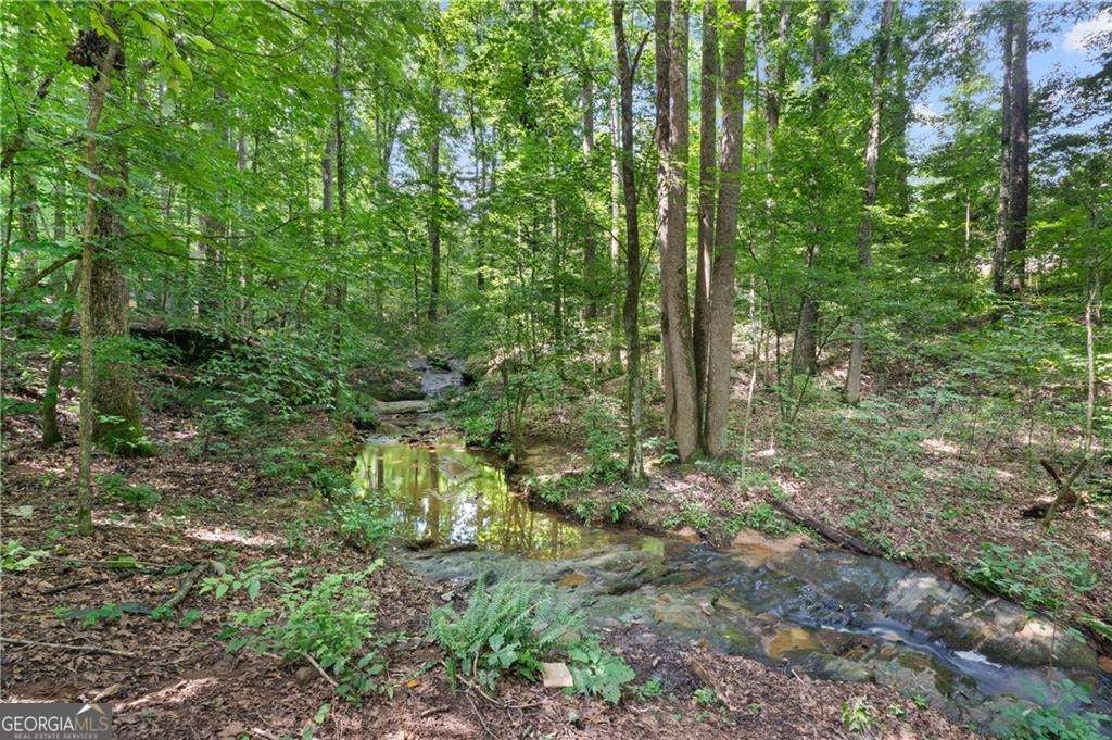 1175 Mars Hill RD NW