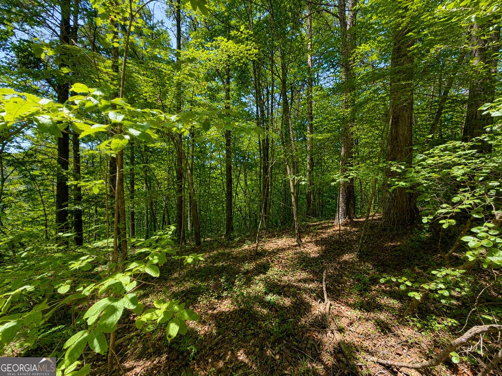 Photo of 1652 Sable Court, Talking Rock, GA 30175 (MLS # 10821216)