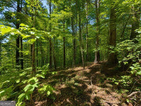Photo of 1652 Sable Court, Talking Rock, GA 30175 (MLS # 10821216)
