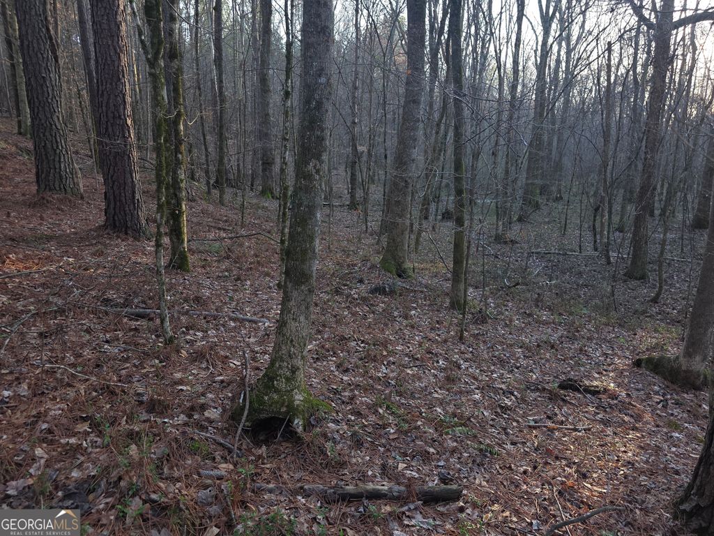 Photo of 0 Golden Rd, Temple, GA 30179 (MLS # 10720116)