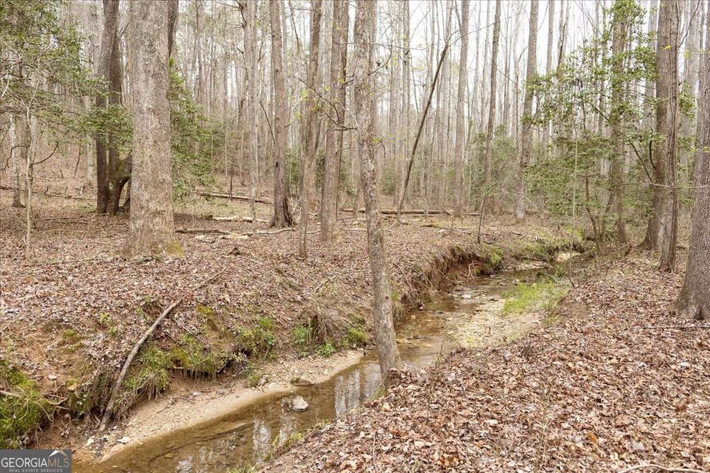 Photo of 0 Reagan Road, Dawsonville, GA 30534 (MLS # 10724352)