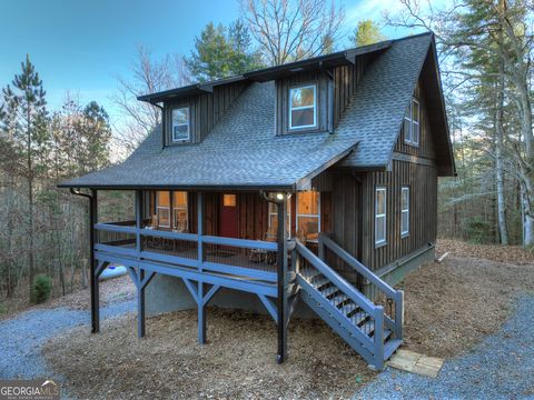 A home in Mineral Bluff