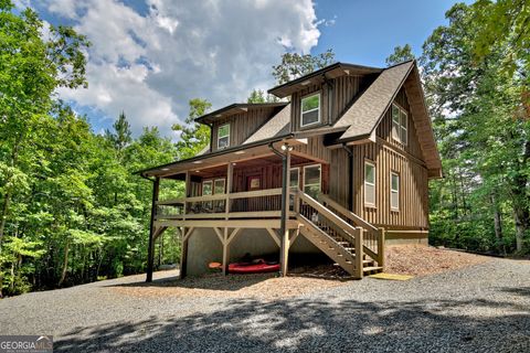 A home in Mineral Bluff