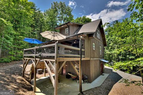 A home in Mineral Bluff